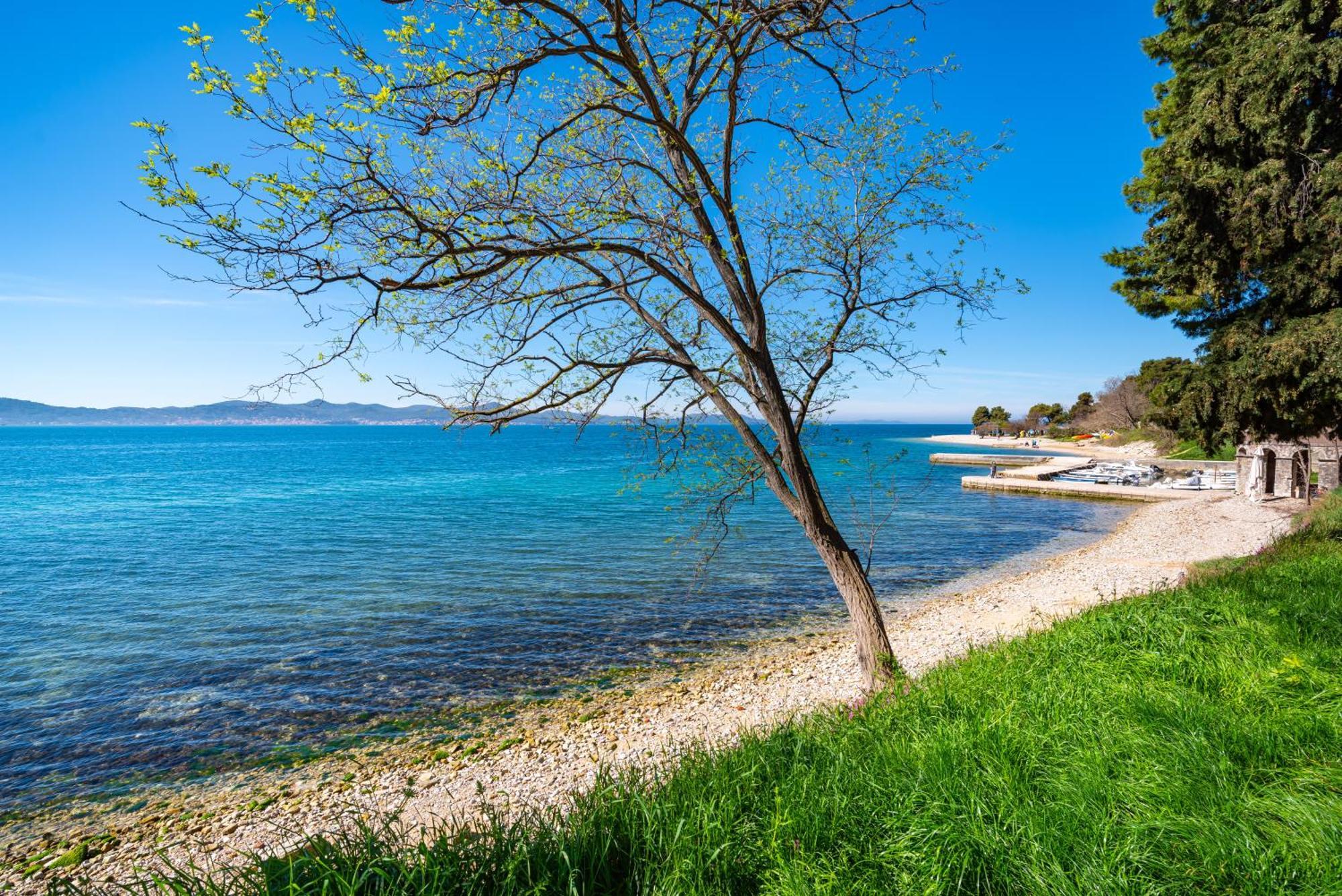 Kolovare Garden Oasis - First Row By Sea Apartment Zadar Exterior photo